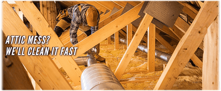 Attic Cleaning Humble TX