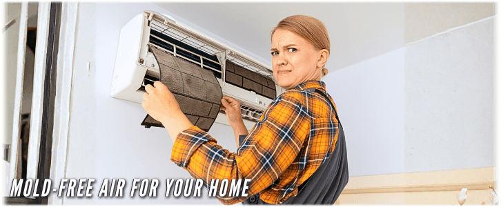 HVAC Mold Removal Humble TX